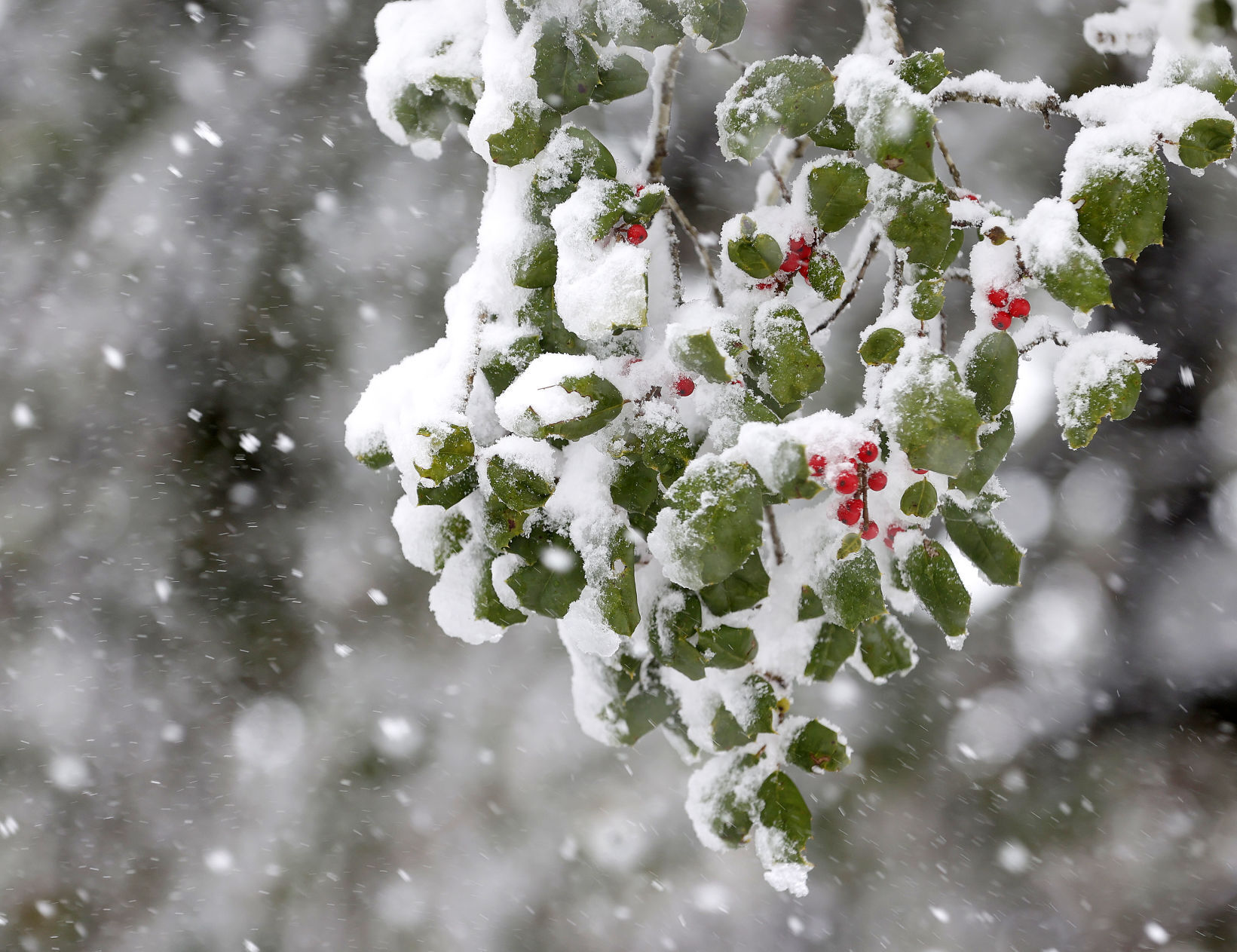20220104_MET_SNOW_AWE04